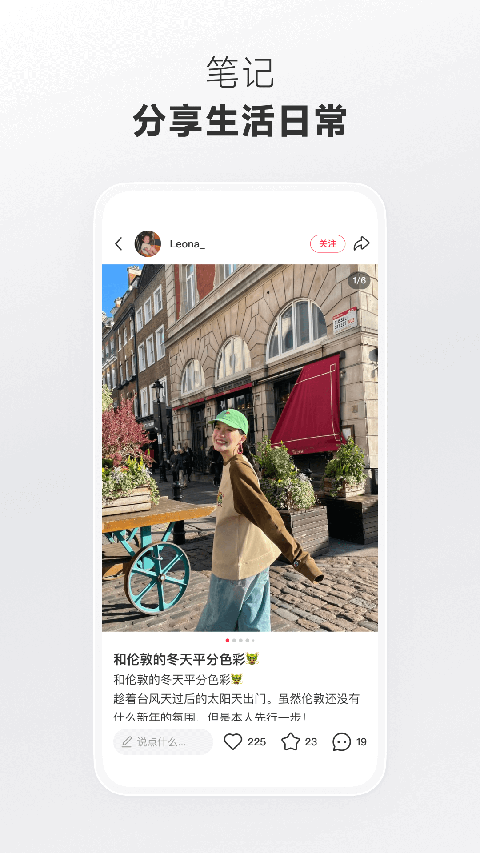 鸸鹋群幼扬起星尘雾壁纸